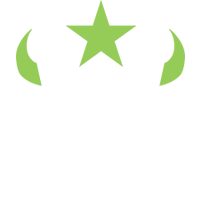 Houston Outlaws logo